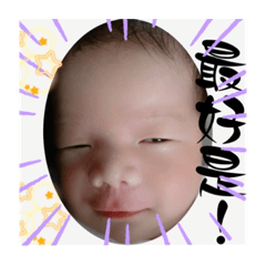 可愛的小兔寶寶