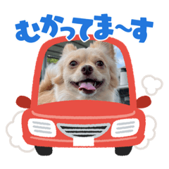 hana_20230615220818
