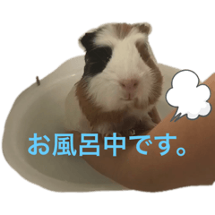 hana_20230615222146