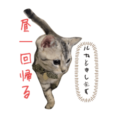 nozomi_20230616102643