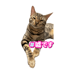 ririka_20230615230002