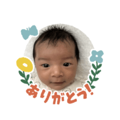 Sakura_20230616132336