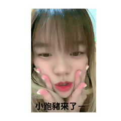 鱷魚寶2.0