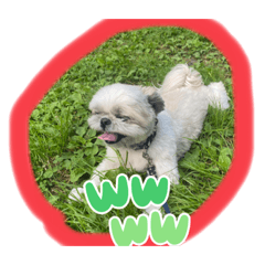 Puku_20230617071249