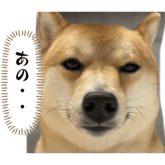 konatsu_20230616153313