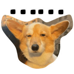 有一隻狗叫妞妞