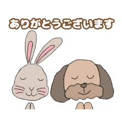 Sunny_20230616160645