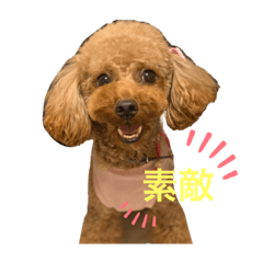 PECO__chan