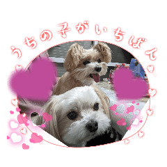 saori_20230616203230