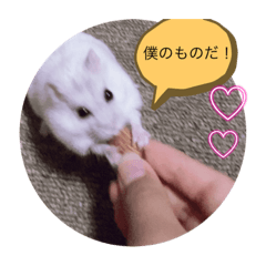 僕のペット´•ﻌ•`