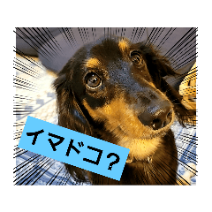 yukari_20230617111004