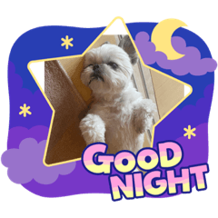 Puku_20230617124645