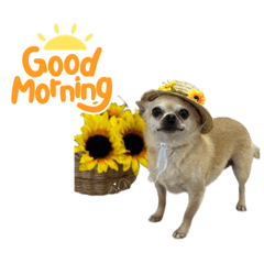 nozomi_20230616230213