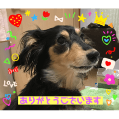 SHIHO_20230617140200