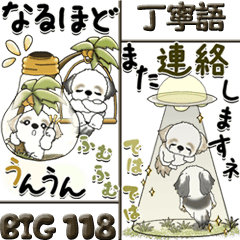 [Big] Shih Tzu dog 118 (Polite language)