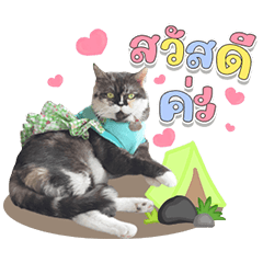 Kedvetclinic