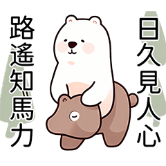 white_bear_3_Activity(Daily)