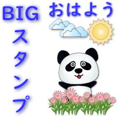 big stickers-Q Pandas-Useful Phrases-JP
