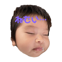 shiho_20230617160531