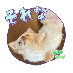 kaede_20230617173016
