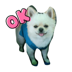 shiho_20230617185227