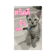 EnjoyのLINE スタンプ・絵文字一覧 | LINE STORE