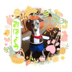 yukari_20230618074511