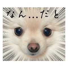 Sunny_20230617202458