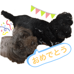 hana_20230617211213
