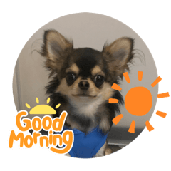 yukari_20230617223929