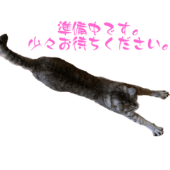 kana 2023