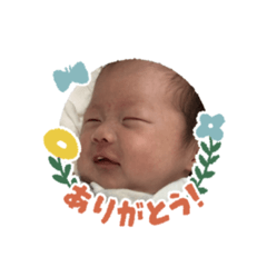 SaKuRa_20230618120906