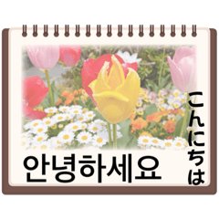 花の挨拶・韓国語と日本語