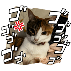 yuka_20230618132811