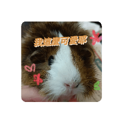 阿卷的貼們