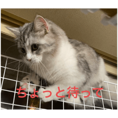 nao_20230618124213