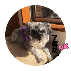 hana_20230618164159
