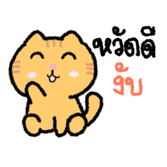 แมวส้ม : น่ารัก