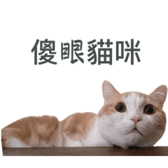 他叫蒜逃