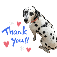 saori_20230619081342