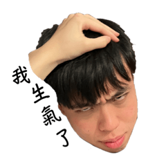 大汪汪表情包