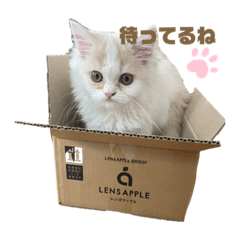 SHIHO_20230618213834