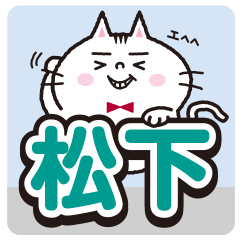 Matsushita's sticker.