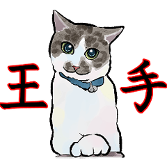 the cutest cats in japan2