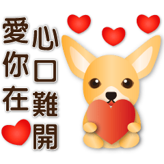 Cute Chihuahua-Lover Practical
