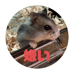 hamster's dairy stamp.