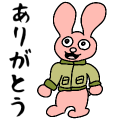The rabbit which wore a jacket