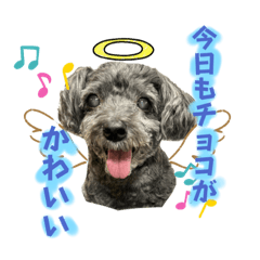 mitsuki_20230618233204