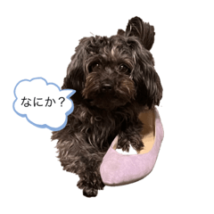 Kuu_Chan_Stamp