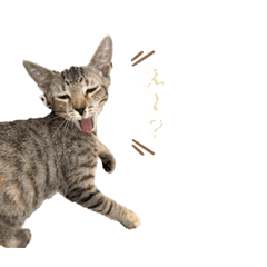 Yuka_20230618003431